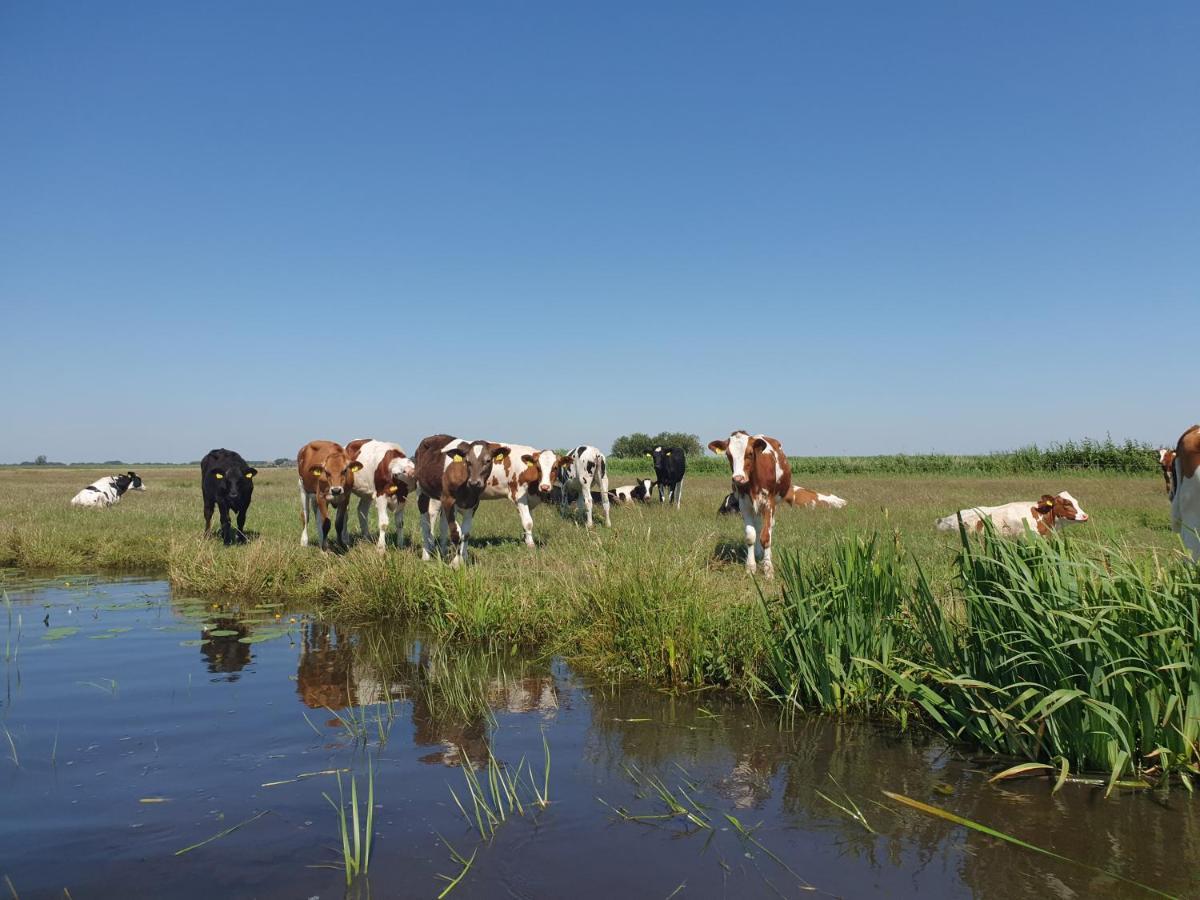 Vakantiehuisje 'T Wiede Blokzijl Luaran gambar