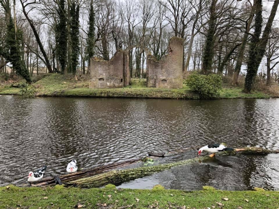 Vakantiehuisje 'T Wiede Blokzijl Luaran gambar